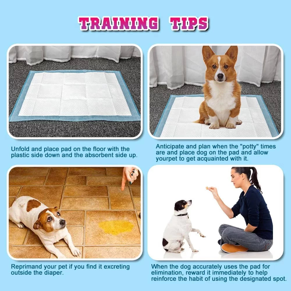 150 Count Medium ( M 24" X 24") Super Absorbent Dog and Puppy Training Pads, Pet Diaper Pee Pads